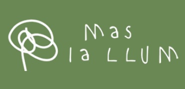 Mas la Llum